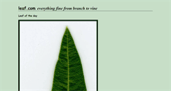 Desktop Screenshot of leaf.com