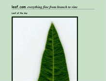 Tablet Screenshot of leaf.com